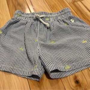 Striped Blue and White turtle  Kids Shorts